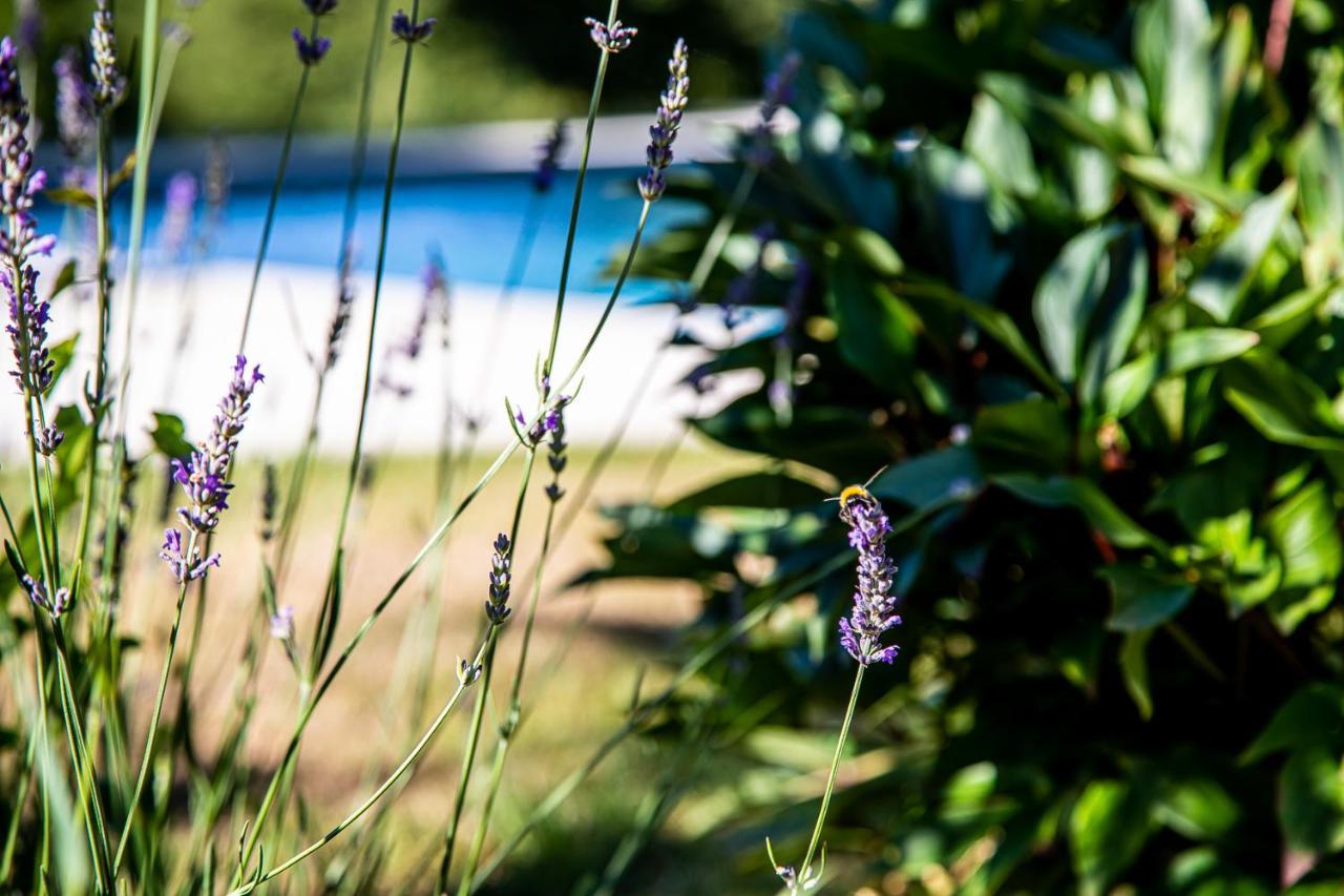 Bed and Breakfast Le Mas des Roches proche Puy du Fou à Saint-Paul-en-Pareds Extérieur photo